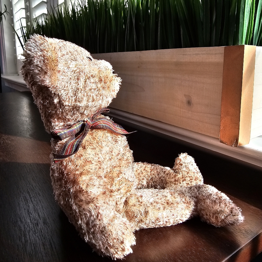 Ty® 2002 Signature Bear™ Original Beanie Baby - Picture 5 of 12